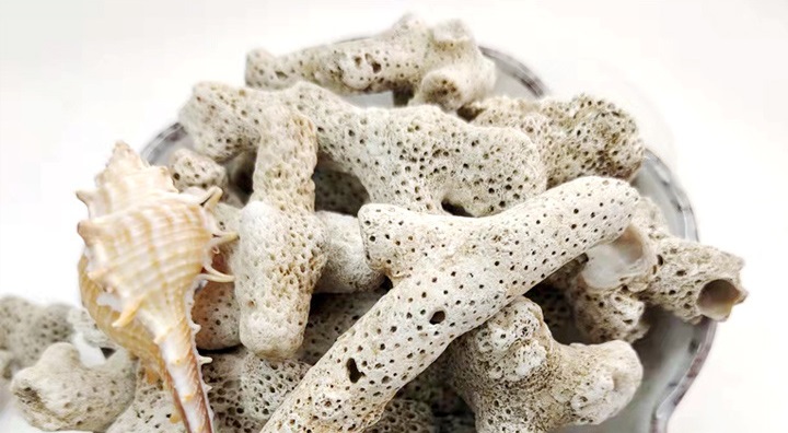 Coral bone (CHA) is a bone regeneration material made from natural coral.