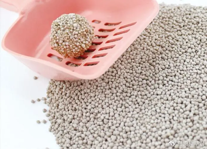 FAQs- Bentonite Cat Litter