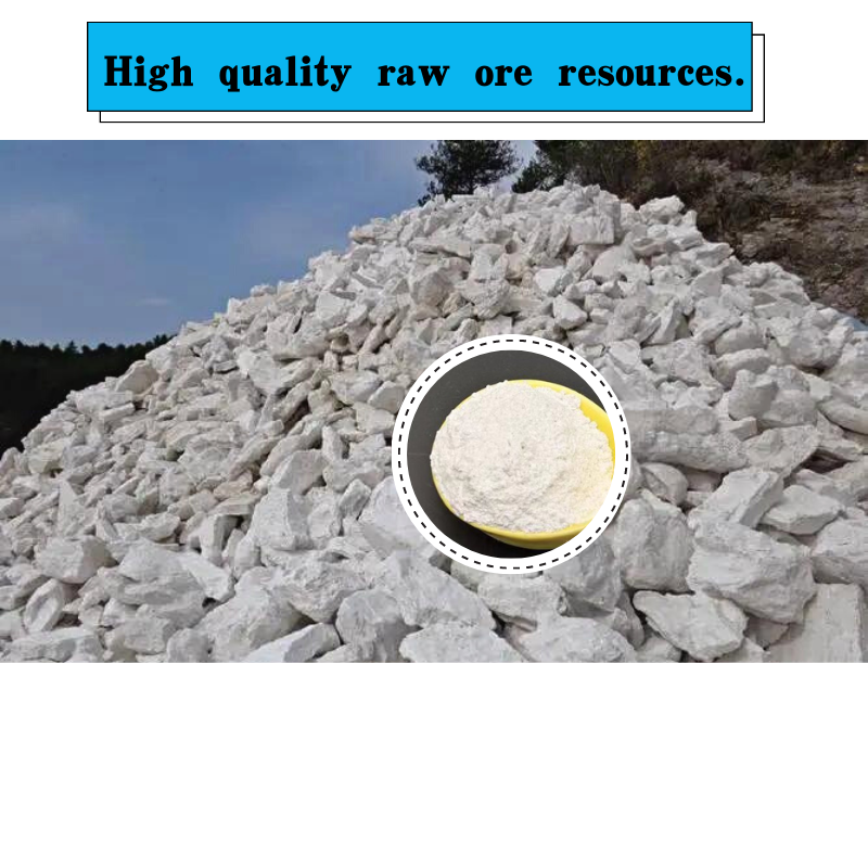 china zeolite powder