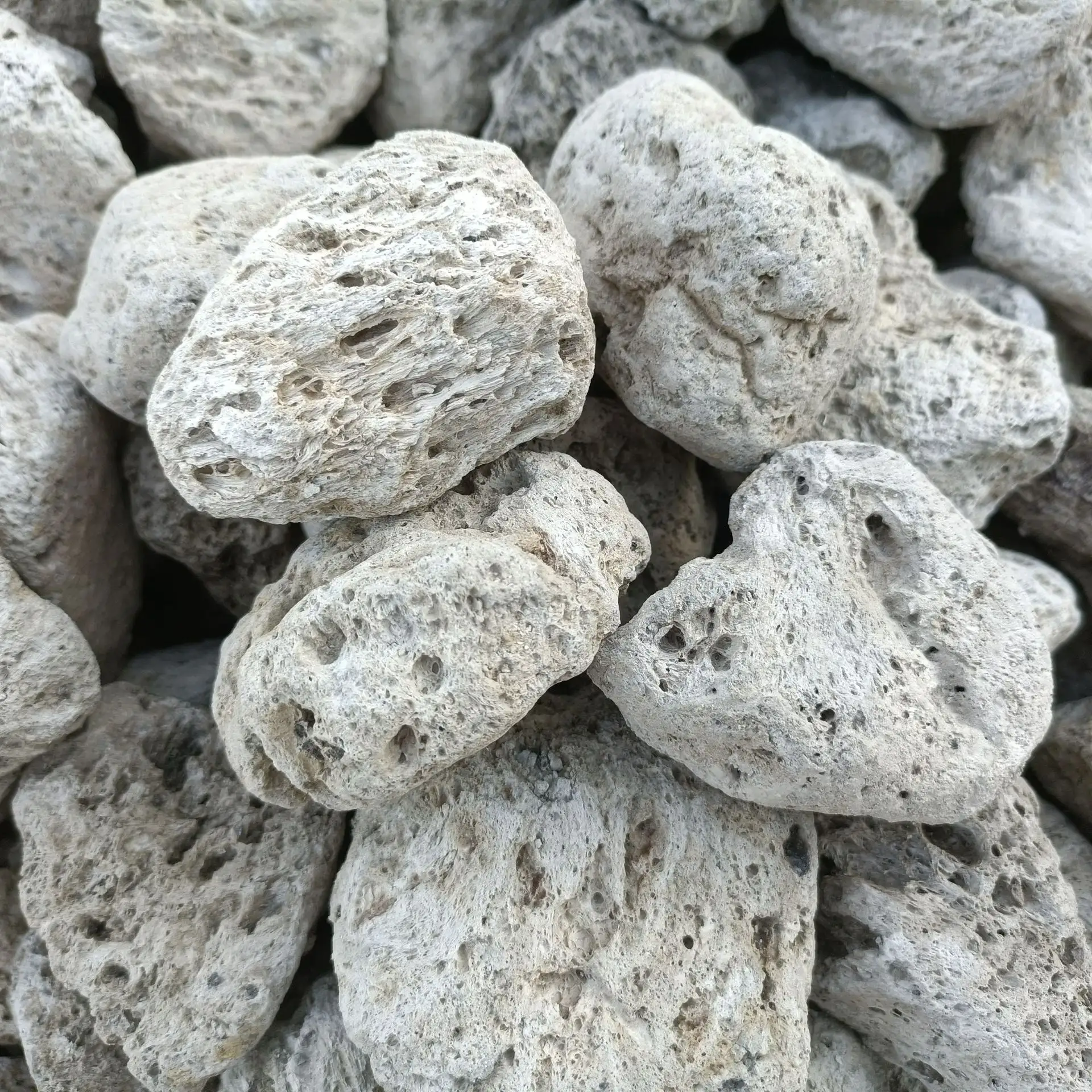 pumice stone
