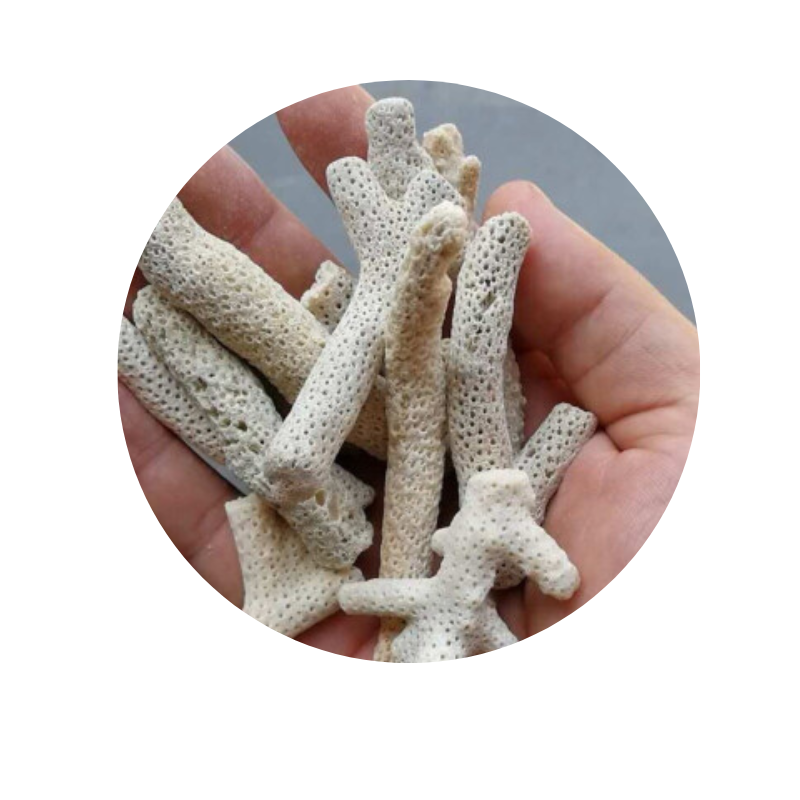perlite for potted plants