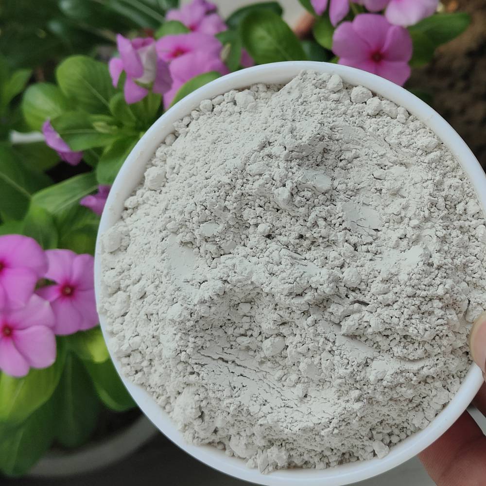 zeolite suppliers