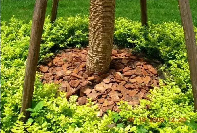 calcium bentonite clay