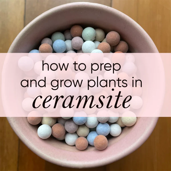 ceramsite