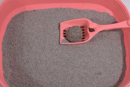 china natural pumice stone