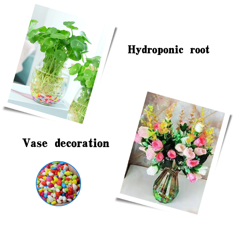 perlite v vermiculite