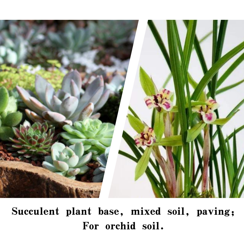 pebbles for plants