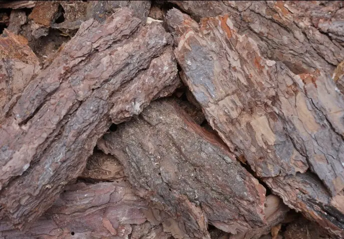 iron oxide black