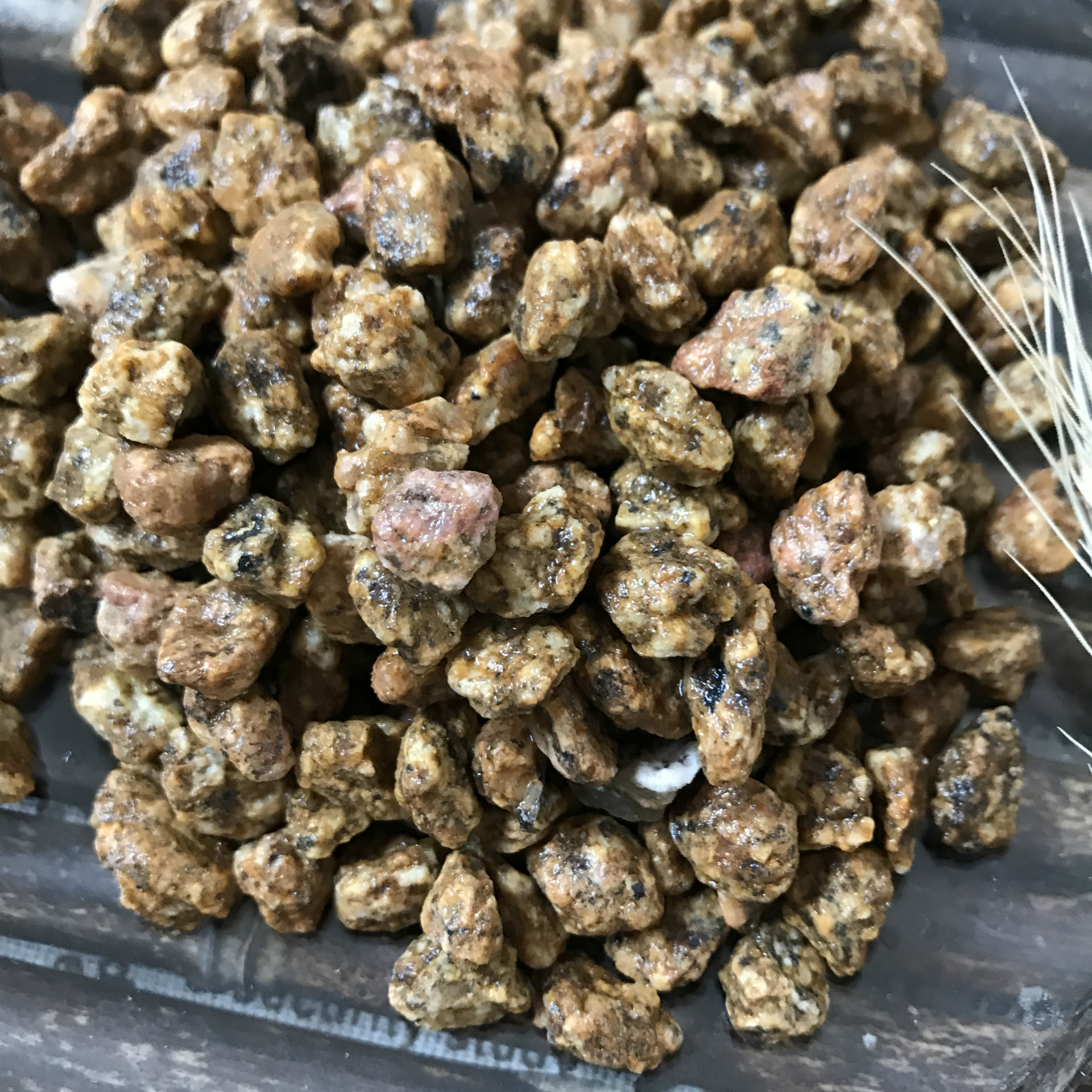 china clay pebbles for houseplants